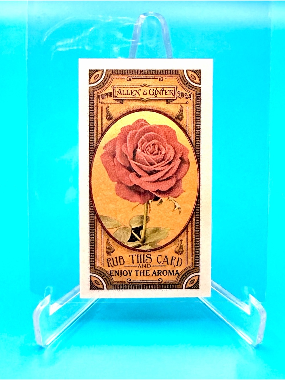 2024 Topps Allen & Ginter SSP Rub This Card Enjoy & The Aroma Got The Itch Rose